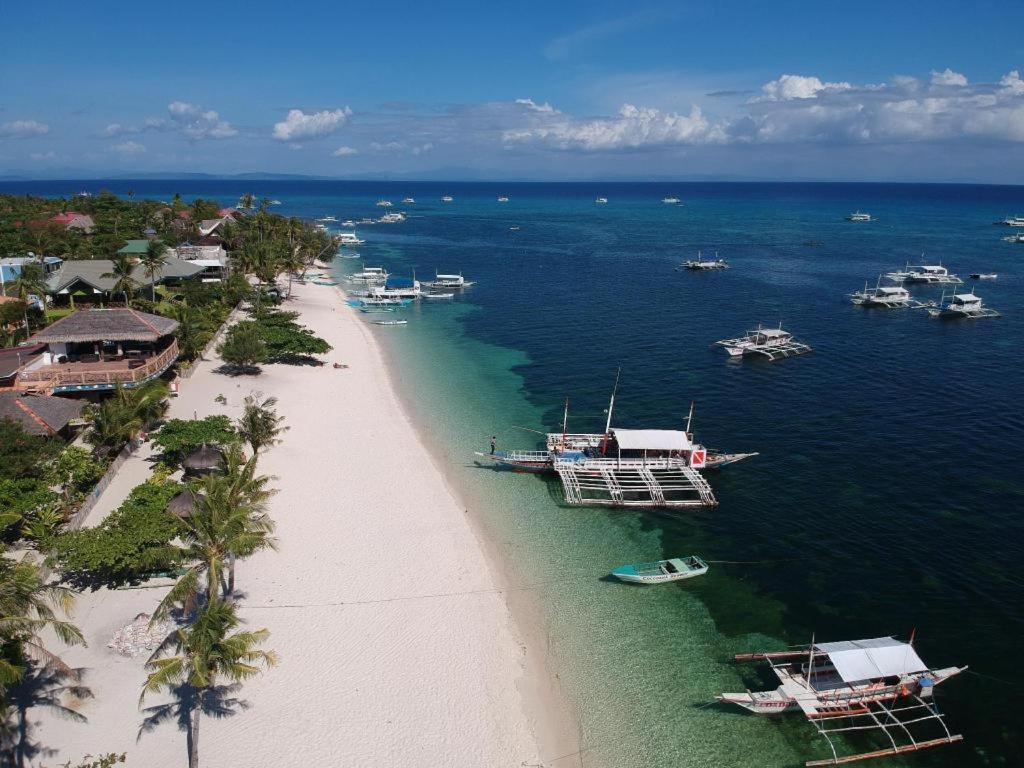 Ocean Vida Beach And Dive Resort Malapascua-sziget Kültér fotó